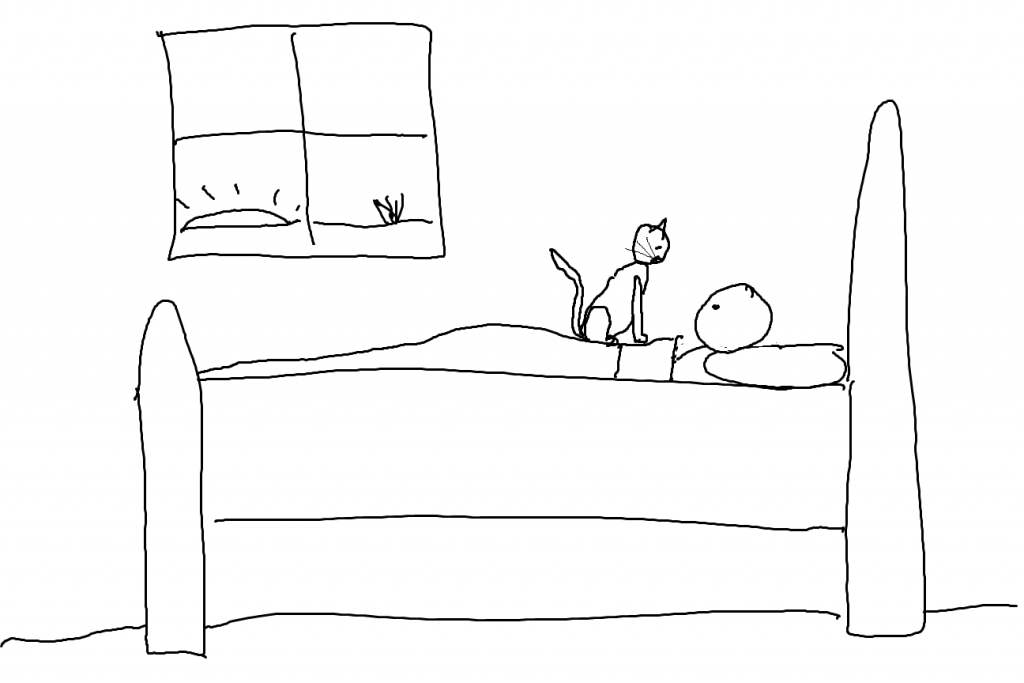 bed5
