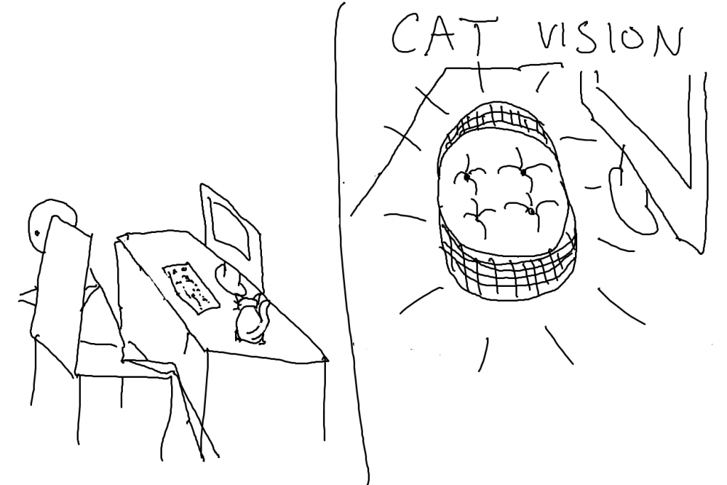 catvision2