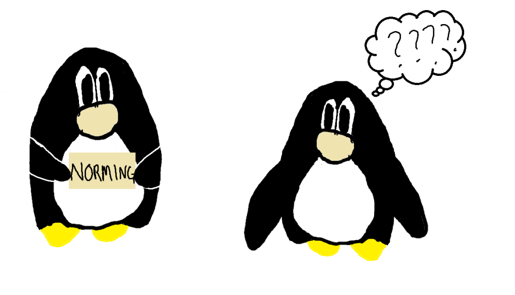 penguin flashcard